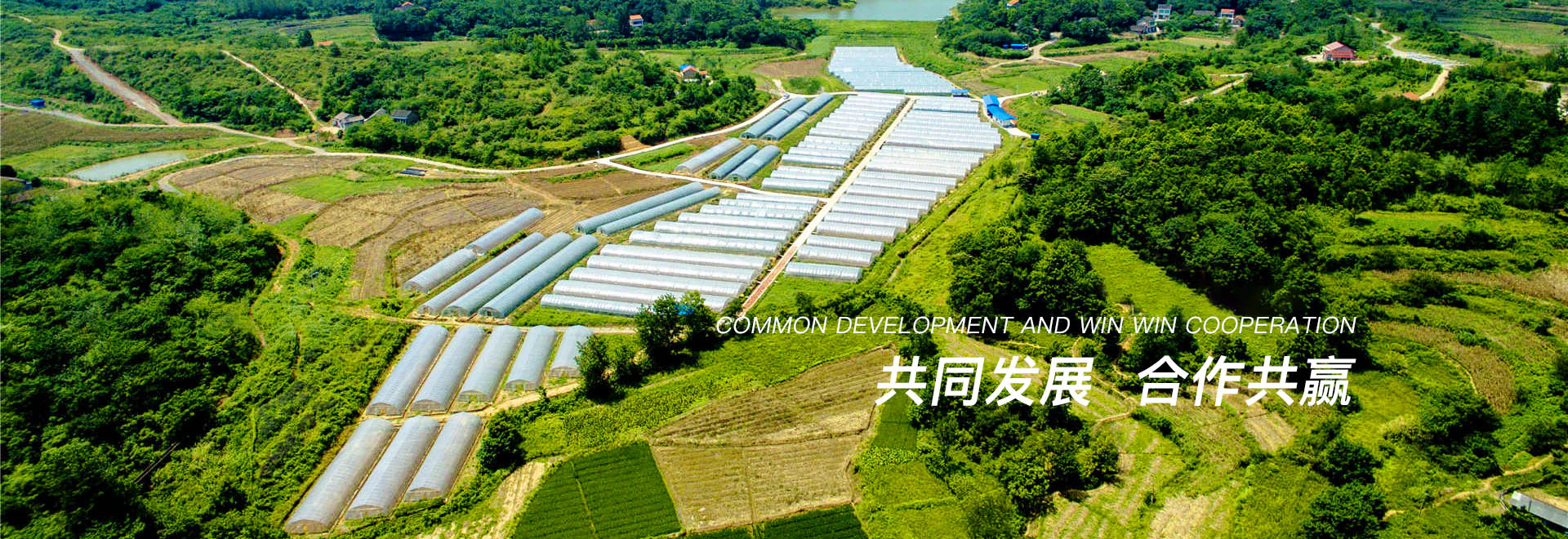 山東型砂粉批發(fā)